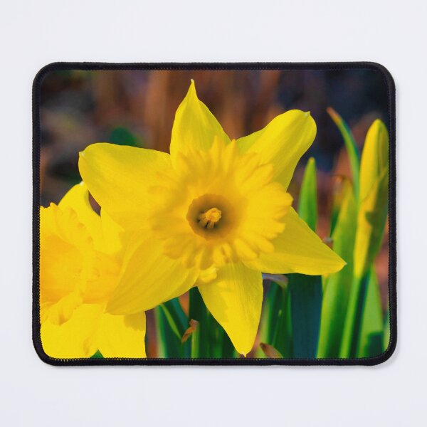 Item preview, Narcissus Twins designed and sold by Elliot L..