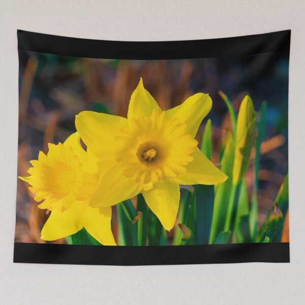 Item preview, Narcissus Twins designed and sold by Elliot L..