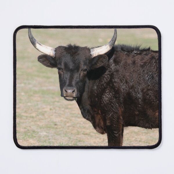 Item preview, Tranquil designed and sold by Elliot L..