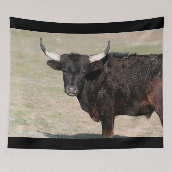 Item preview, Tranquil  designed and sold by Elliot L..