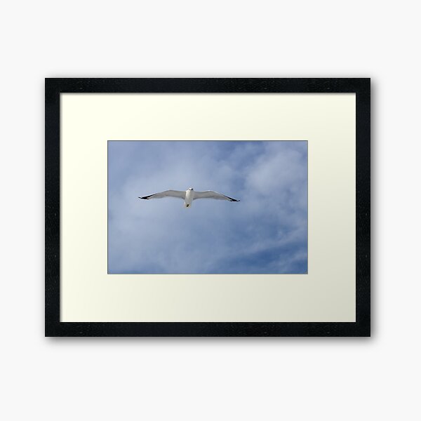 Item preview, The seagull's flight designed and sold by Ingridpd.