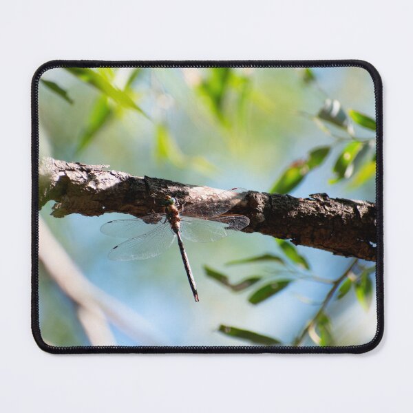 Item preview, Dragon fly on a branch designed and sold by Elliot L..