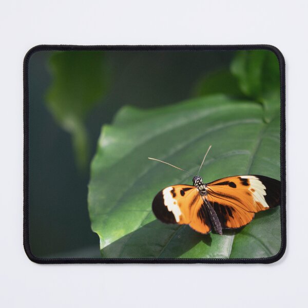 Item preview, To Leave the Leaf designed and sold by Elliot L..