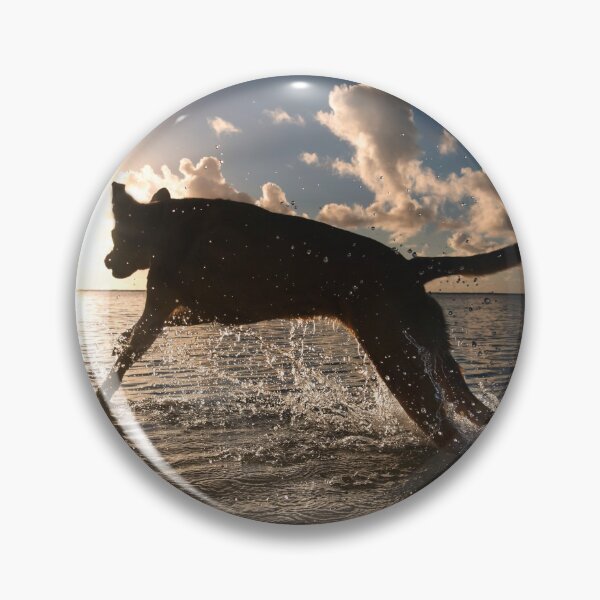 Item preview, Sun Chaser. designed and sold by Alex Preiss.