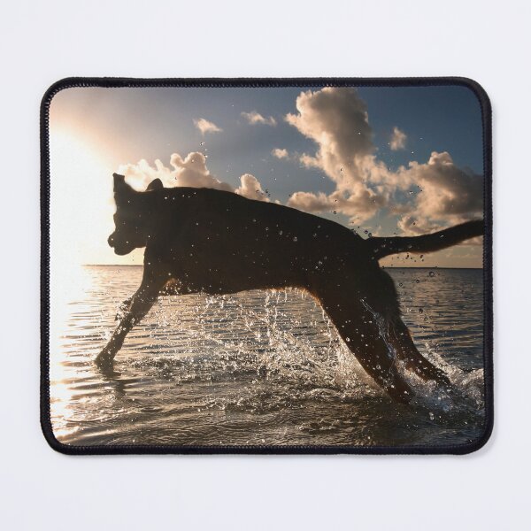 Item preview, Sun Chaser. designed and sold by Alex Preiss.