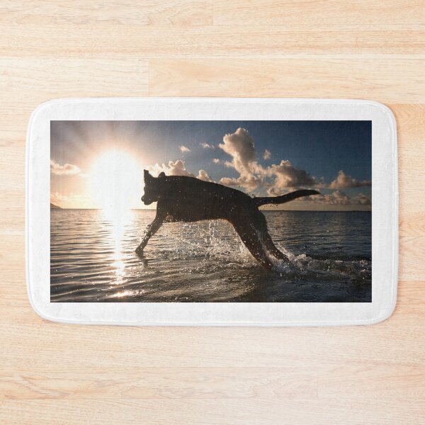 Item preview, Sun Chaser. designed and sold by Alex Preiss.