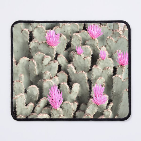 Item preview, Beavertail Cactus plants designed and sold by David-Howells.