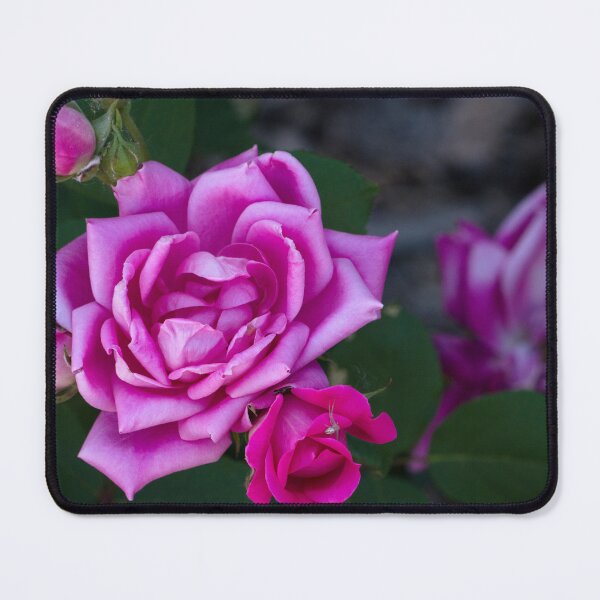 Item preview, Zepherine and a Guest designed and sold by Elliot L..