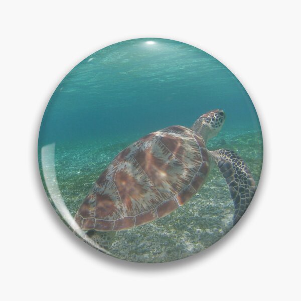 Item preview, Green sea turtle in crystal clear water designed and sold by Hawaii Wildlife & Landscape Prints.
