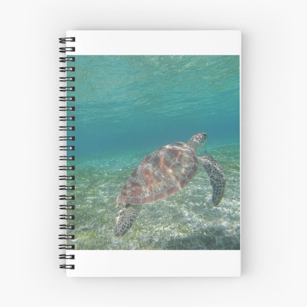 Item preview, Green sea turtle in crystal clear water designed and sold by Hawaii Wildlife & Landscape Prints.