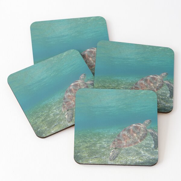 Item preview, Green sea turtle in crystal clear water designed and sold by Hawaii Wildlife & Landscape Prints.