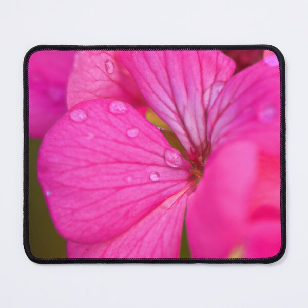 Item preview, Flower Closeup designed and sold by Angela Adams.