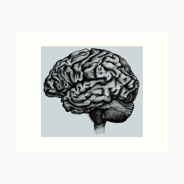 Brain | Black and White, No Fill Art Print