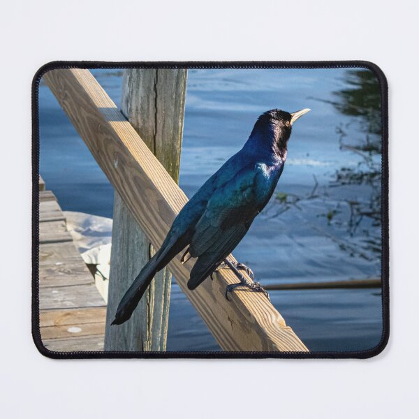 Item preview, Bluish designed and sold by Ingridpd.