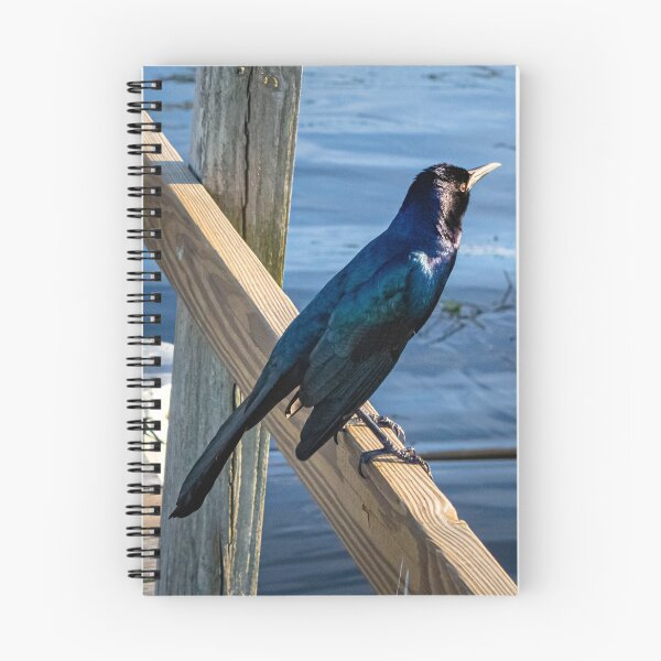Item preview, Bluish designed and sold by Ingridpd.