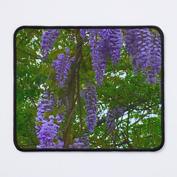Item preview, Wisteria designed and sold by sasakwa.