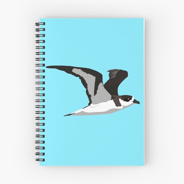 Item preview, Black-capped Petrel designed and sold by BennuBirdy.