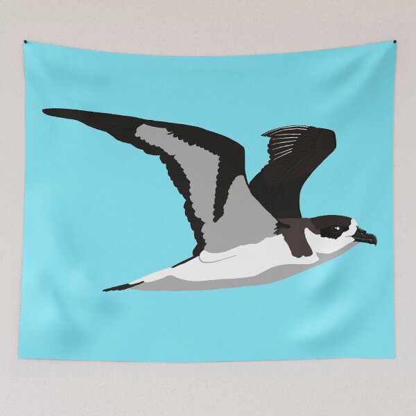 Item preview, Black-capped Petrel designed and sold by BennuBirdy.