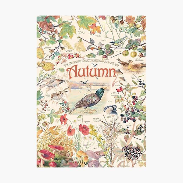 Item preview, Country Diary Autumn  designed and sold by glendaherrmann.
