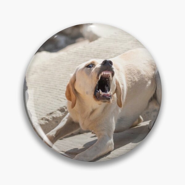 Item preview, Born to bark designed and sold by aleland1.