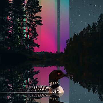 Artwork thumbnail, Lake Lights and a Loon by DavidLoblaw