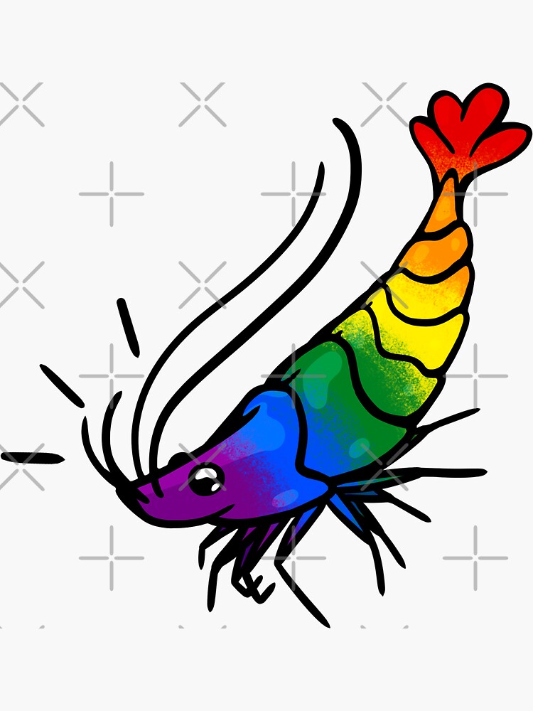 "Rainbow Shrimp" Sticker for Sale by Nahvi Redbubble