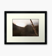 Landscape Framed Print