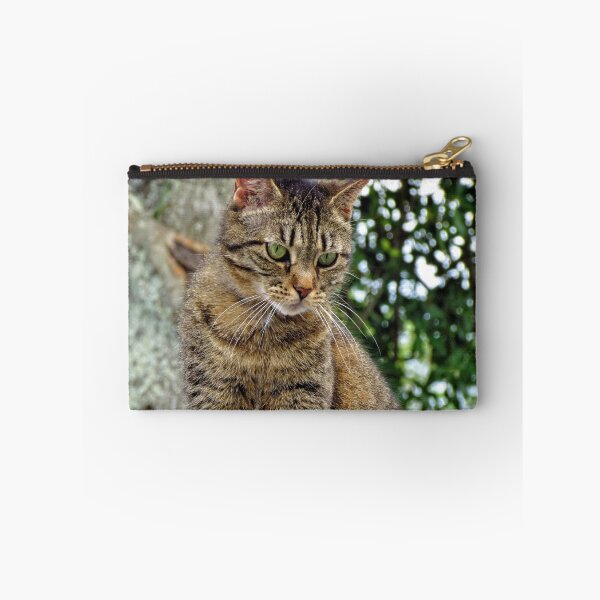 Item preview, Tabby Cat - Florida designed and sold by jtrommer.