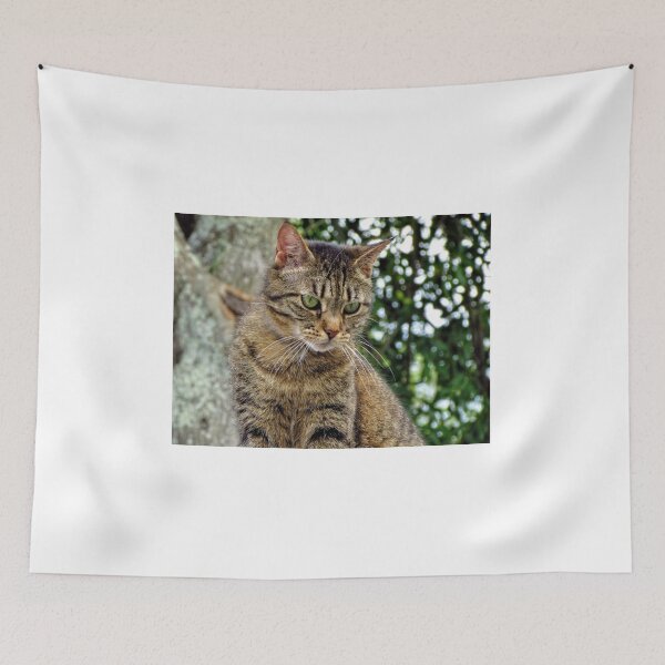 Item preview, Tabby Cat - Florida designed and sold by jtrommer.
