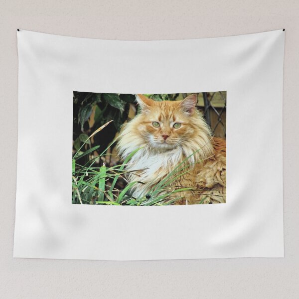 Item preview, King Of My Jungle - Florida designed and sold by jtrommer.
