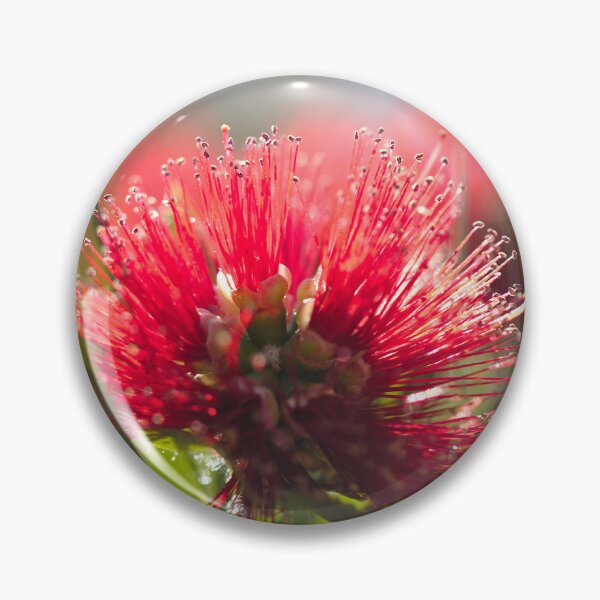 Item preview, Crimson Bottlebrush designed and sold by Kasadams.
