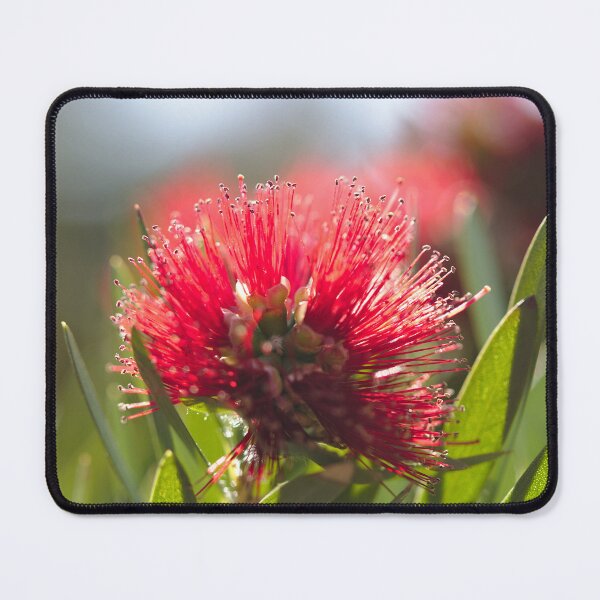 Item preview, Crimson Bottlebrush designed and sold by Kasadams.