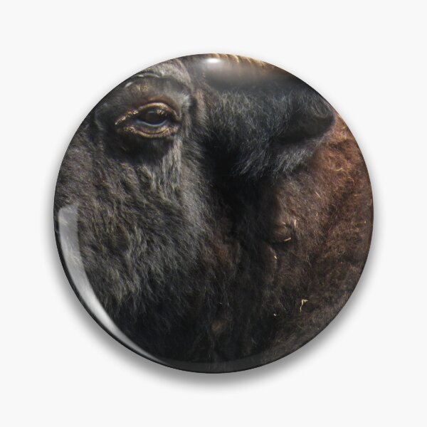 Artikelvorschau, Von Angesicht zu Angesicht Bison von Brandon Cable entworfen und verkauft von BrandonArtWorld.