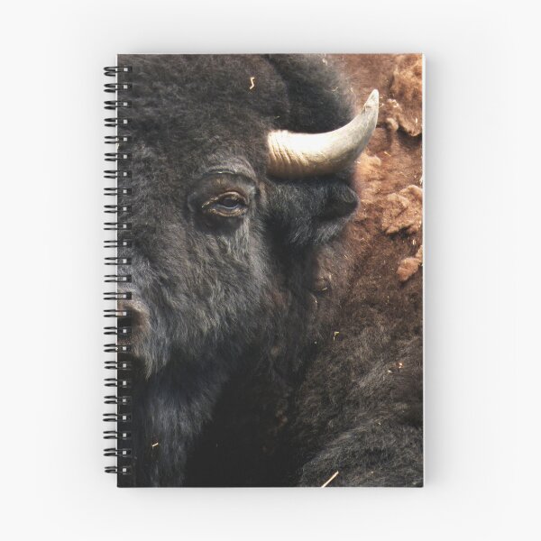 Item preview, Bisonte cara a cara por Brandon Cable designed and sold by BrandonArtWorld.