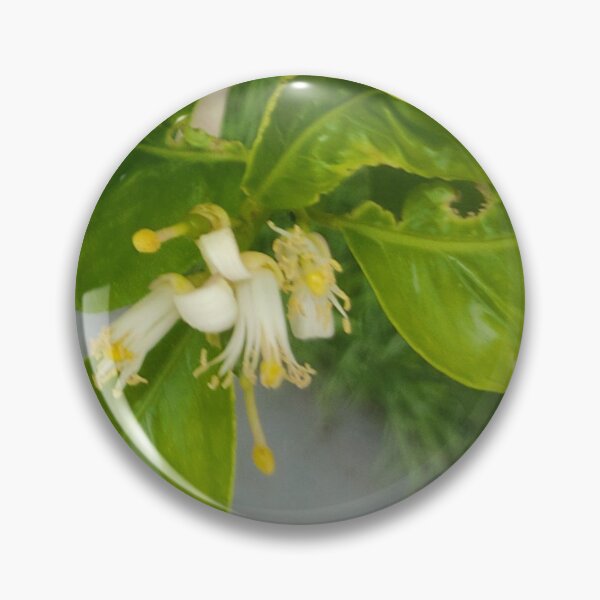 Item preview, Lemon Flower designed and sold by Circular23.