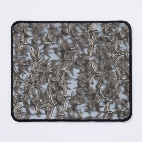 Item preview, Feathered Symphony designed and sold by Puttaswamy Ravishankar.