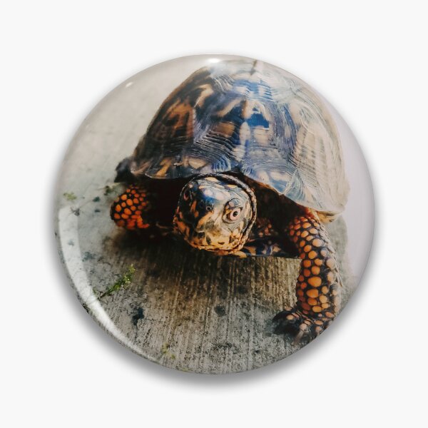 Item preview, Turtle designed and sold by Kailee Harris Roberson.