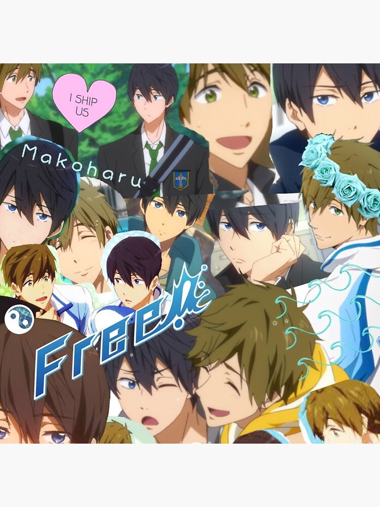 Review: Free! – Iwatobi Swim Club – Anime Bird