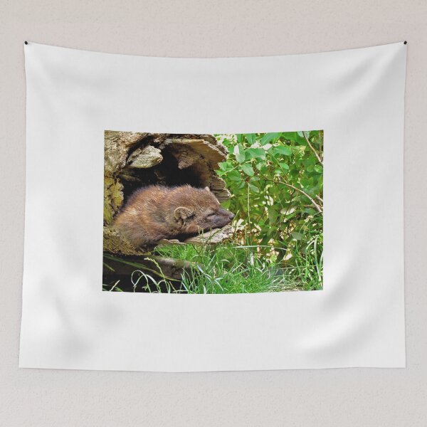 Item preview, Nap Time - Sleeping Fisher Washington State designed and sold by jtrommer.