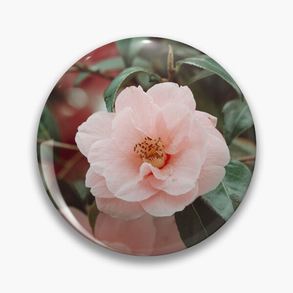 Item preview, Beautiful Pink Flower designed and sold by LoulabellaPhoto.