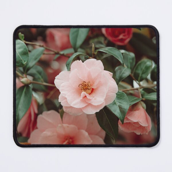 Item preview, Beautiful Pink Flower designed and sold by LoulabellaPhoto.