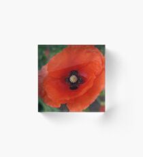 Rememberance Poppy Acrylic Block