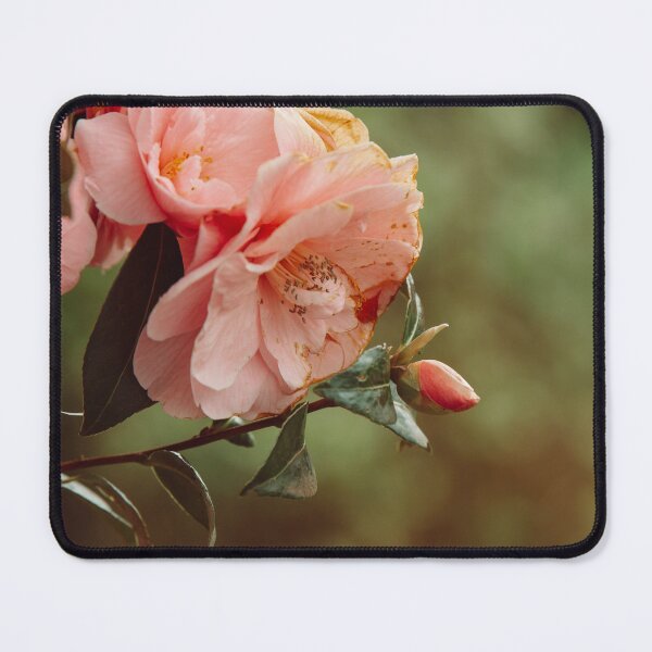 Item preview, Decaying Pink Flower designed and sold by LoulabellaPhoto.