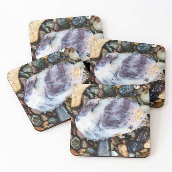 Item preview, pebble designed and sold by KathleenDawson.