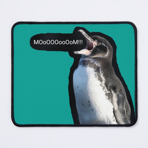 Item preview, Galapagos Penguin calls for Mom (Teal #03A096 background)  designed and sold by SBPenguins.