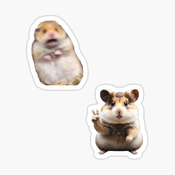 hamster meme Sticker for Sale by dtscott19