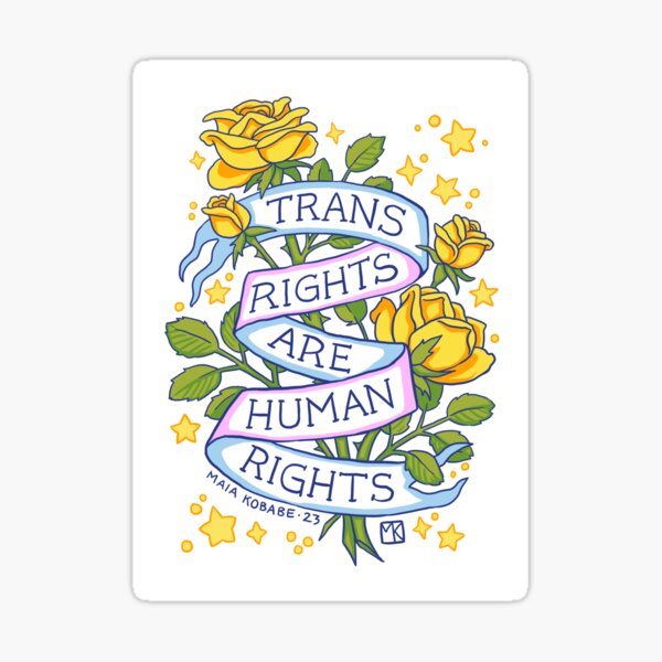 Vista previa del artículo con la obra «Los derechos trans son derechos humanos», diseñado y vendido por redgoldsparks.
