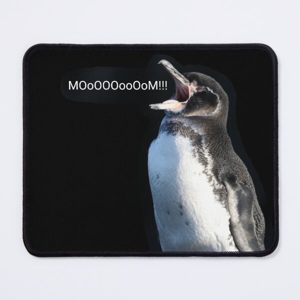 Item preview, Galapagos Penguin calls for Mom (Black background)  designed and sold by SBPenguins.