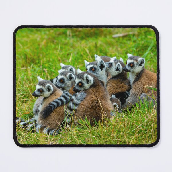 Item preview, Me and the Gang! designed and sold by Dalyndigital Photography.