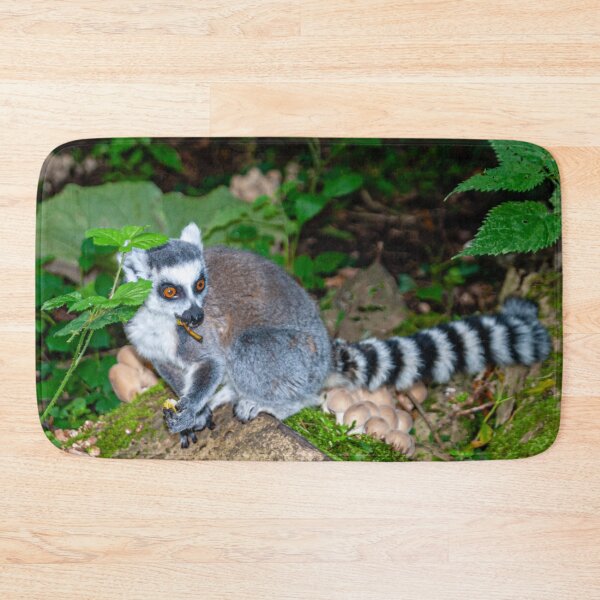 Item preview, Young Ring-tailed Lemur in woodland designed and sold by Dalyndigital Photography.